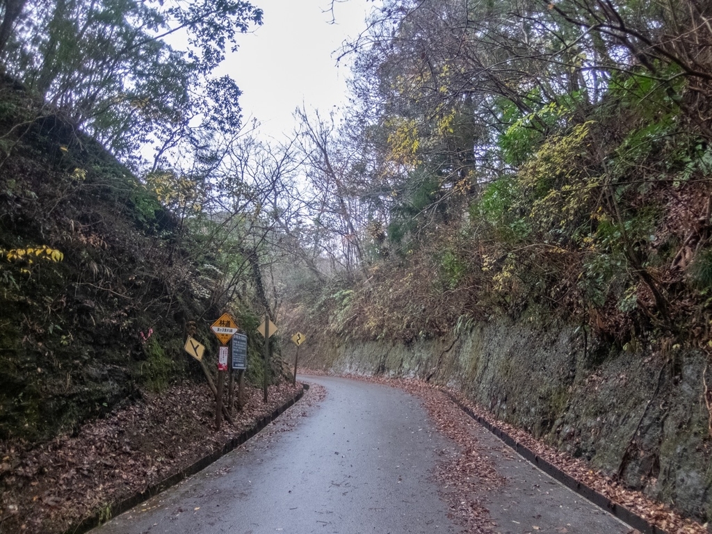 f:id:saetta0404:20181224153110j:plain