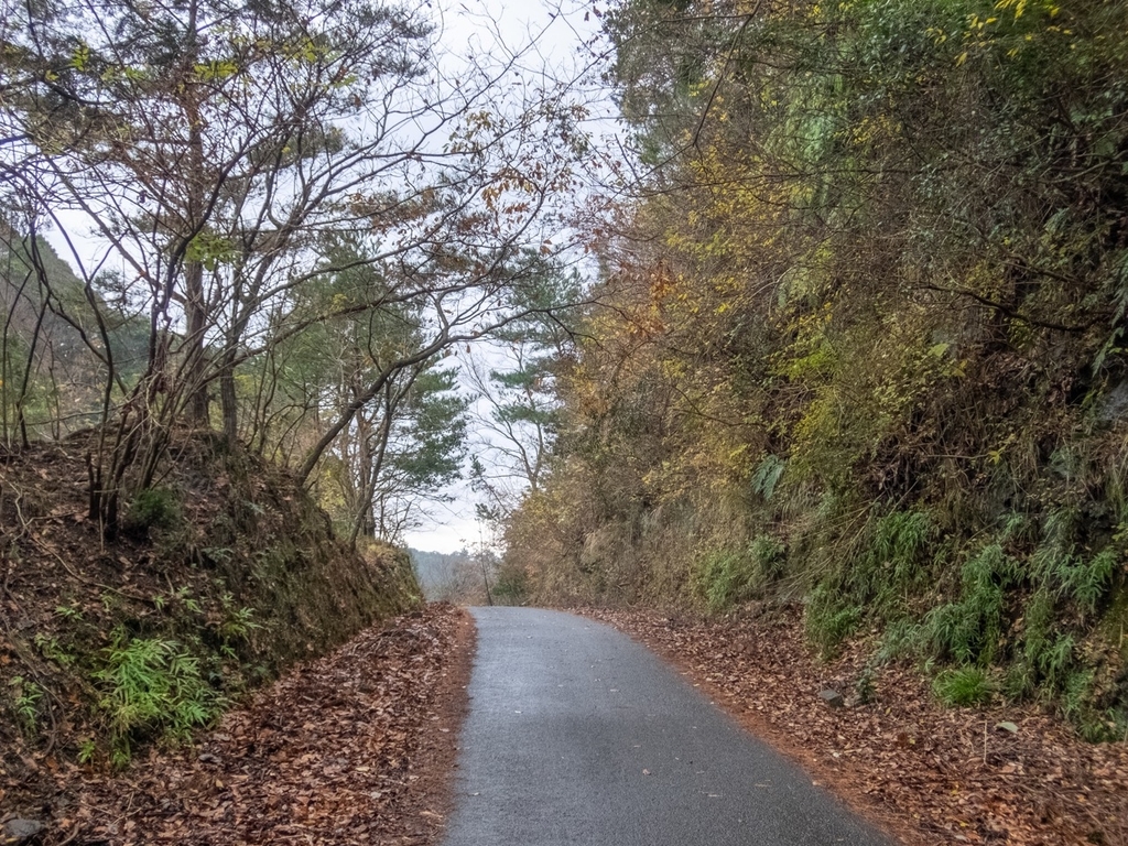 f:id:saetta0404:20181224153300j:plain