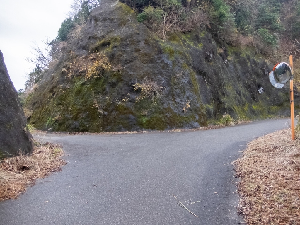 f:id:saetta0404:20181224153429j:plain