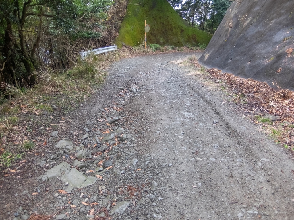 f:id:saetta0404:20181224161130j:plain