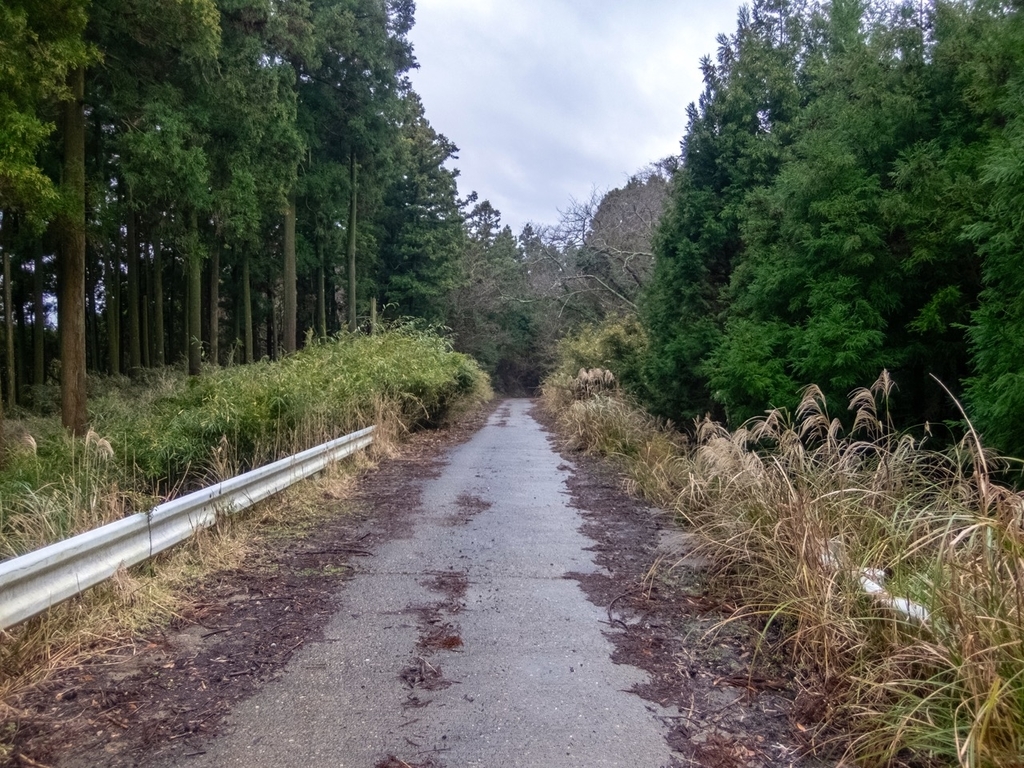 f:id:saetta0404:20181224161231j:plain