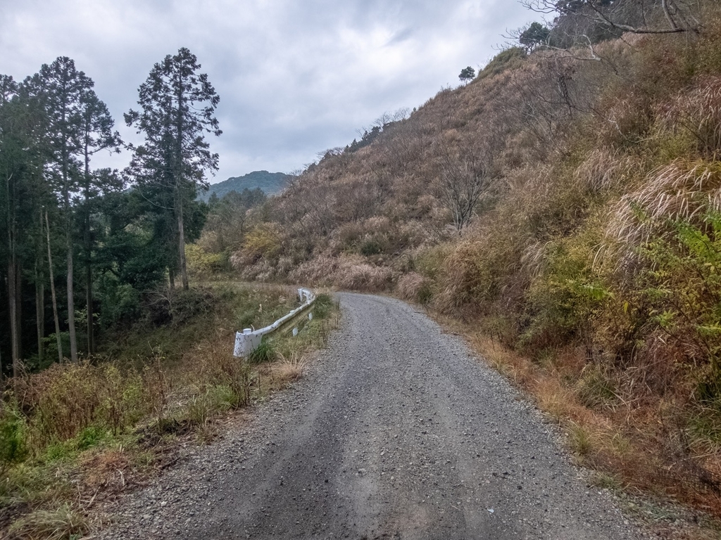 f:id:saetta0404:20181224161301j:plain