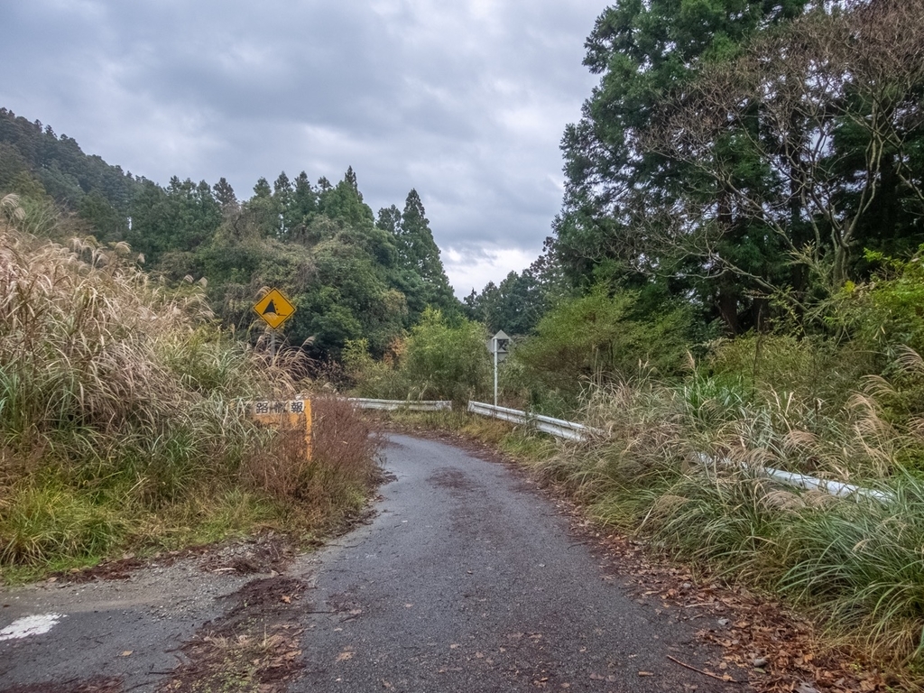 f:id:saetta0404:20181224161412j:plain