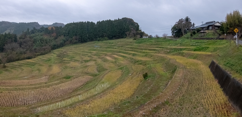 f:id:saetta0404:20181224161805j:plain