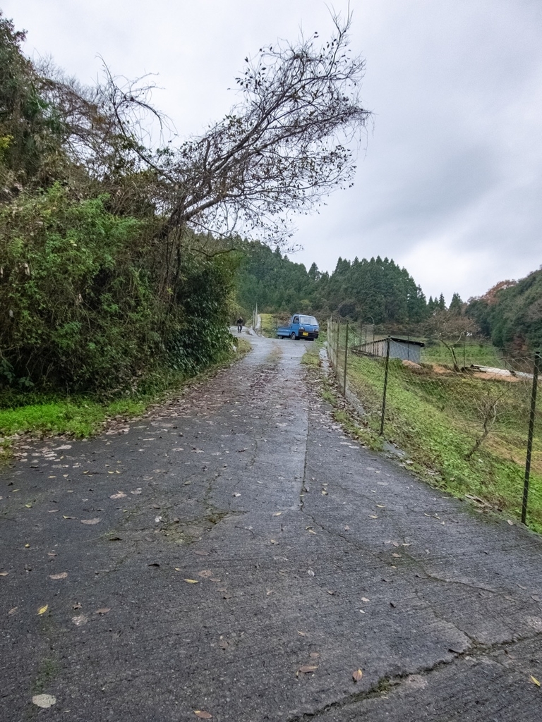 f:id:saetta0404:20181224162039j:plain