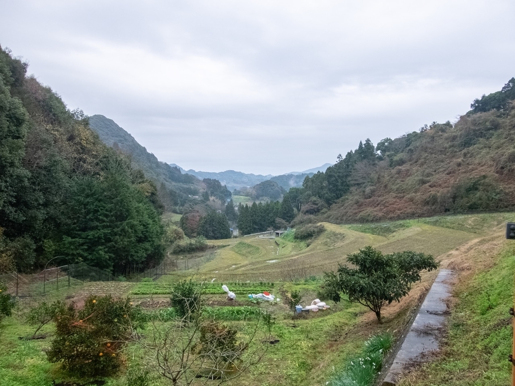 f:id:saetta0404:20181224162126j:plain