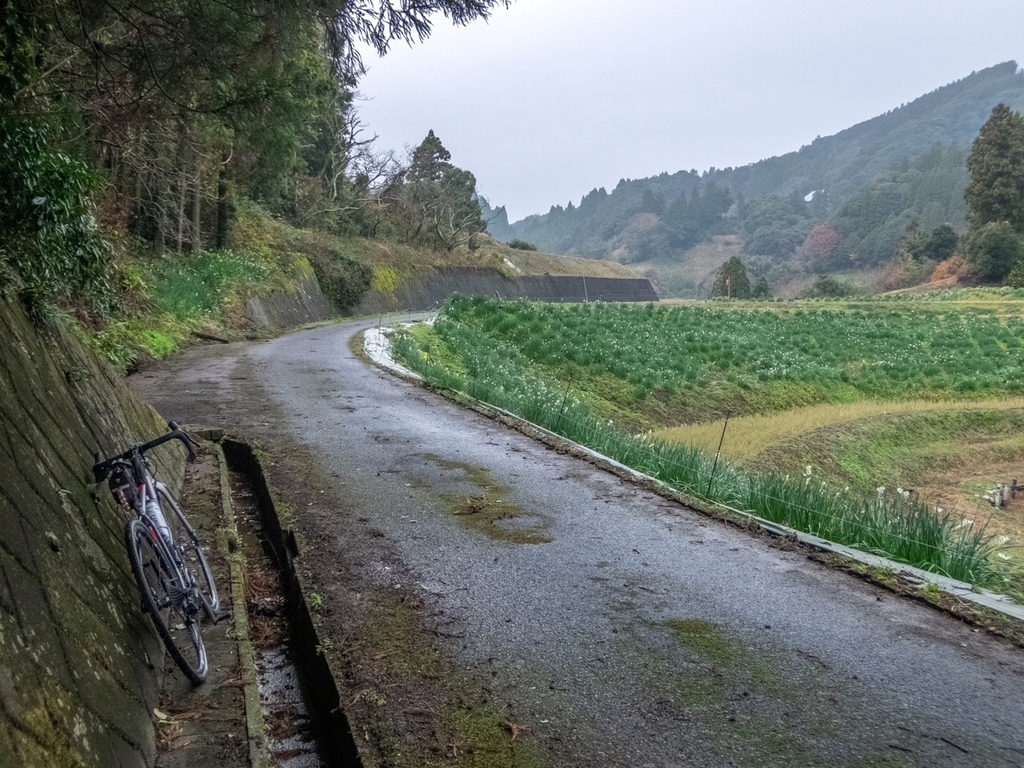 f:id:saetta0404:20181224162153j:plain