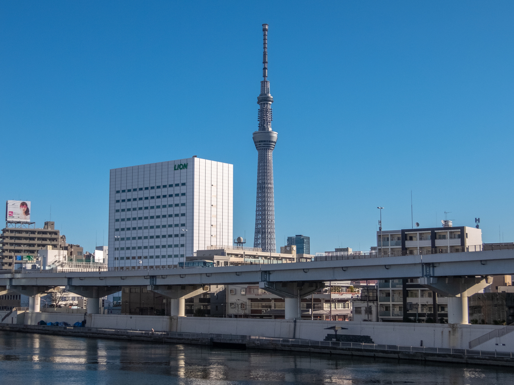 f:id:saetta0404:20181231082907j:plain