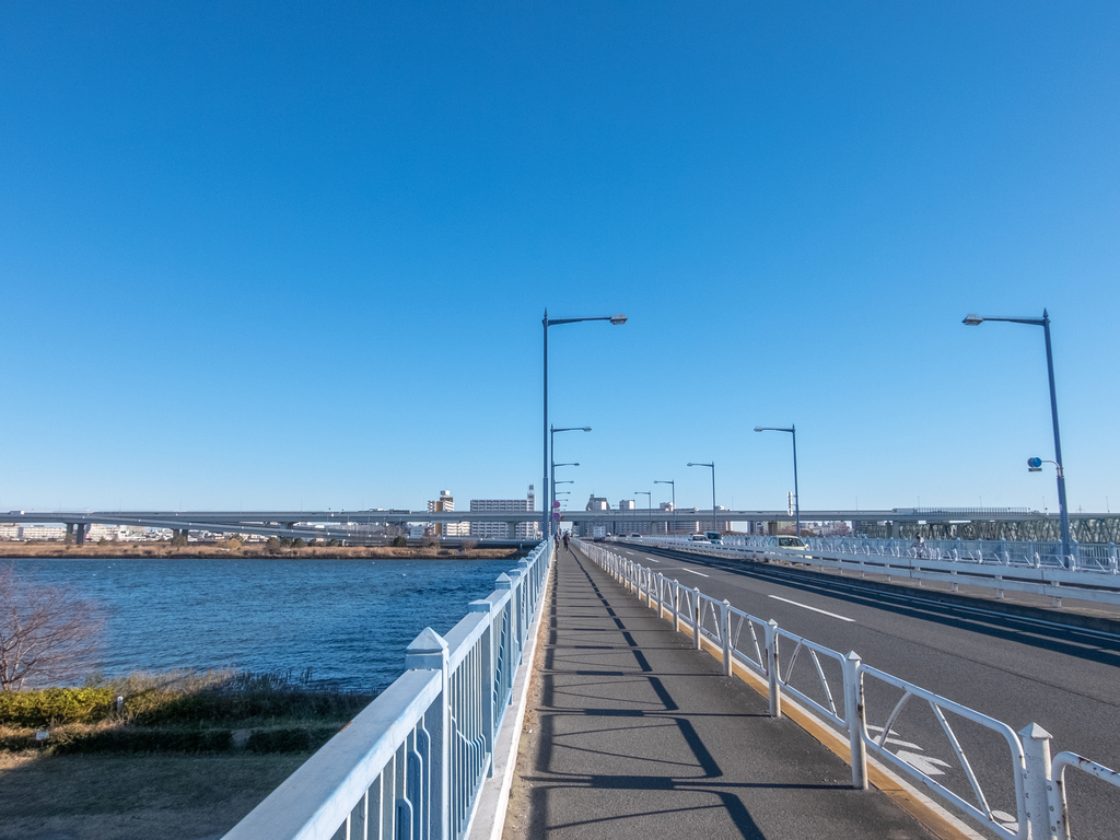 f:id:saetta0404:20181231083049j:plain