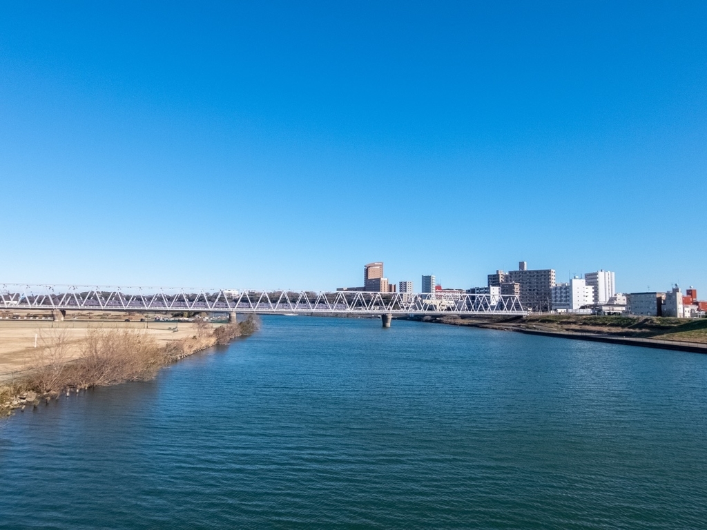 f:id:saetta0404:20181231083537j:plain