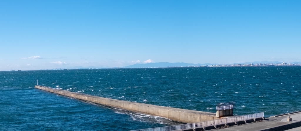 f:id:saetta0404:20181231083617j:plain