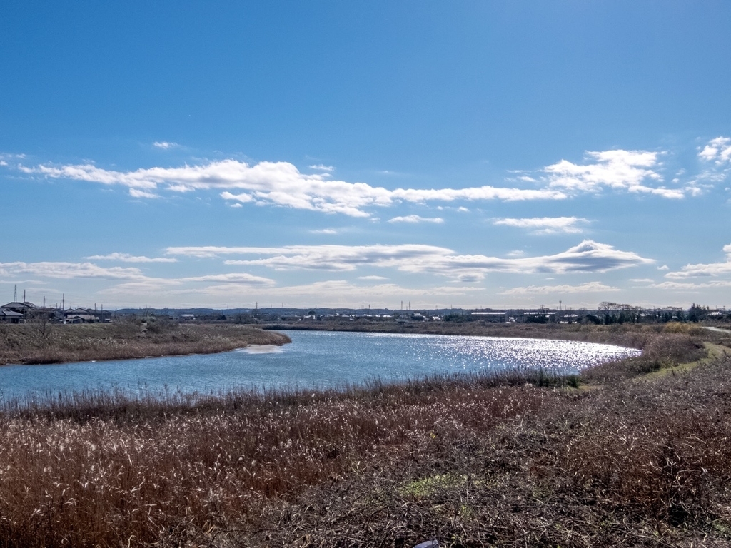 f:id:saetta0404:20181231083728j:plain