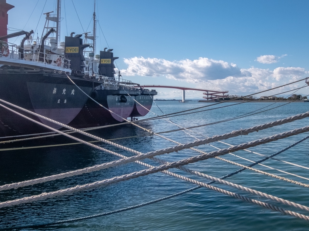 f:id:saetta0404:20181231083859j:plain