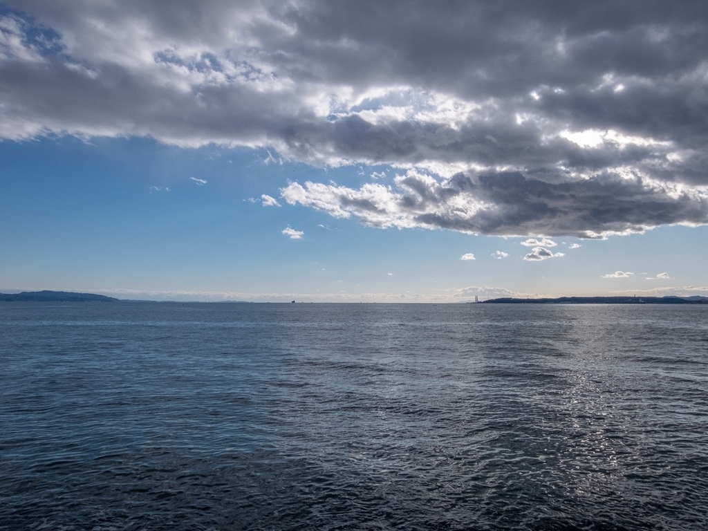 f:id:saetta0404:20181231083954j:plain