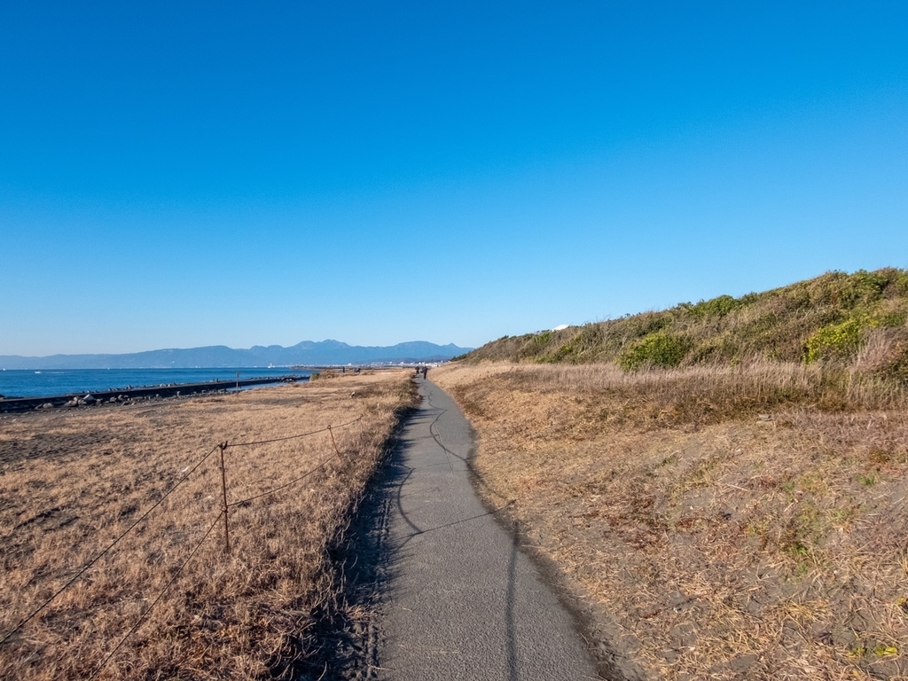 f:id:saetta0404:20190104221521j:plain f:id:saetta0404:20190104221521j:plain