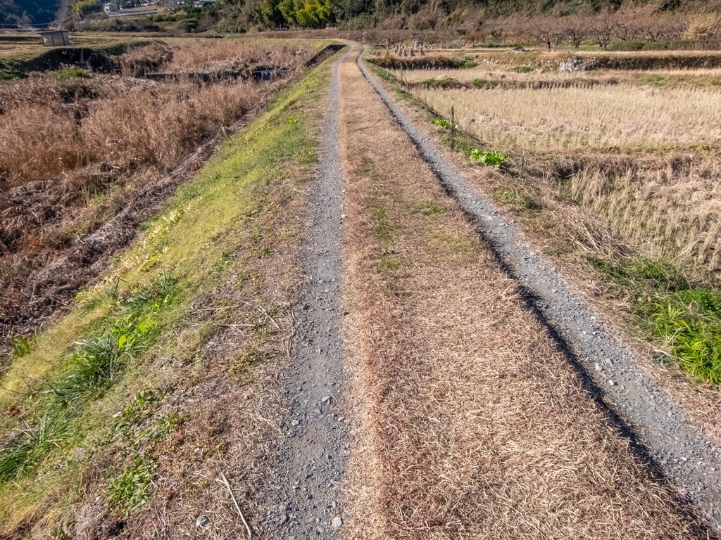 f:id:saetta0404:20190104222937j:plain f:id:saetta0404:20190104222937j:plain