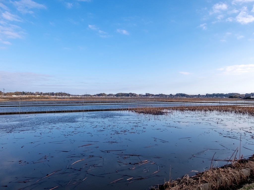 f:id:saetta0404:20190114172633j:plain