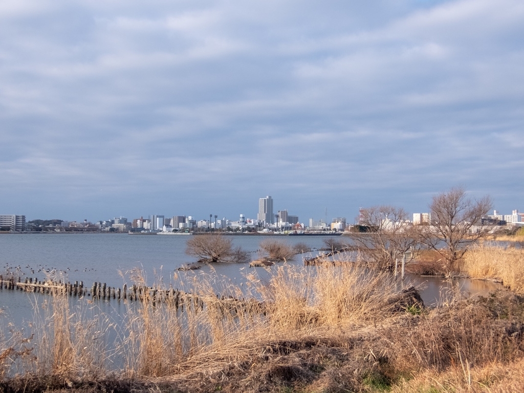 f:id:saetta0404:20190114172835j:plain