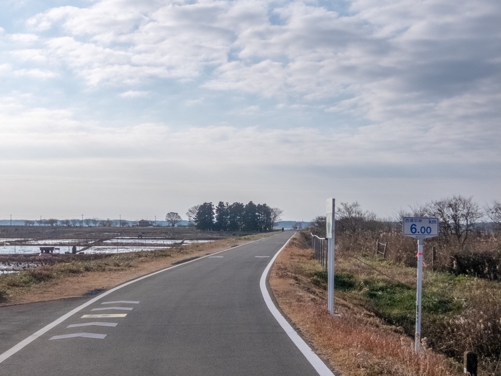 f:id:saetta0404:20190114173001j:plain