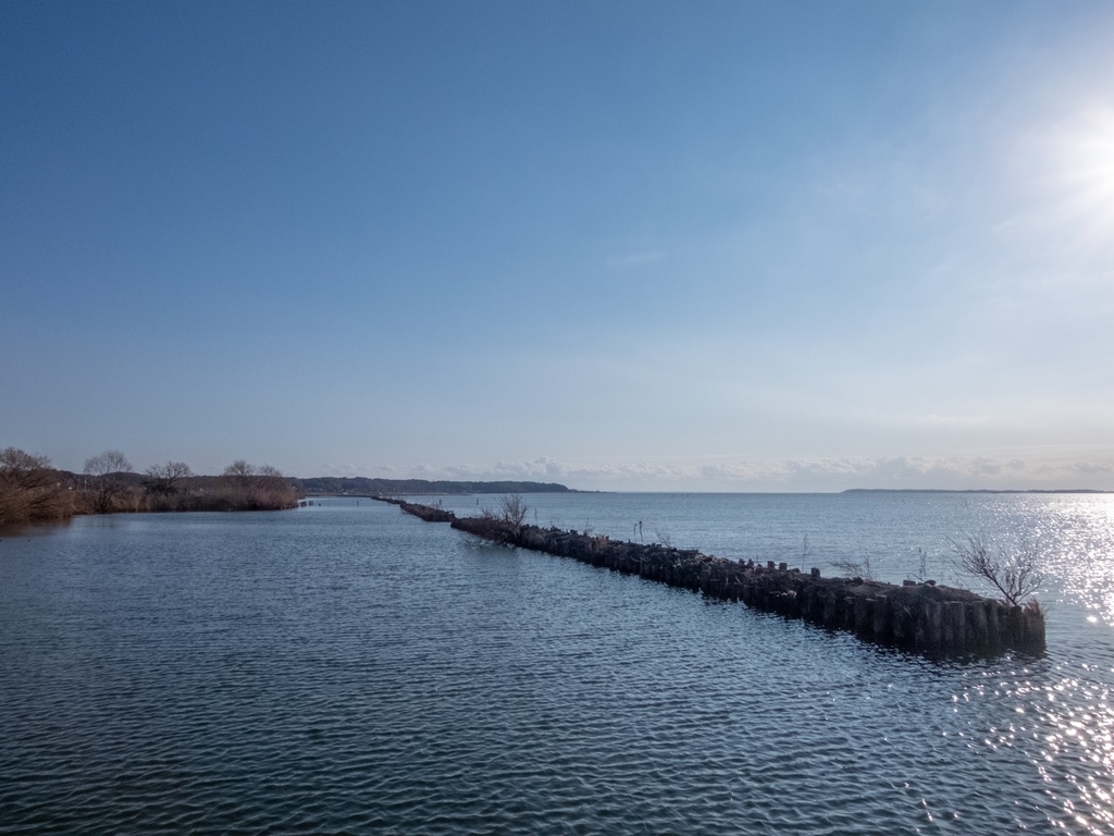 f:id:saetta0404:20190114173129j:plain