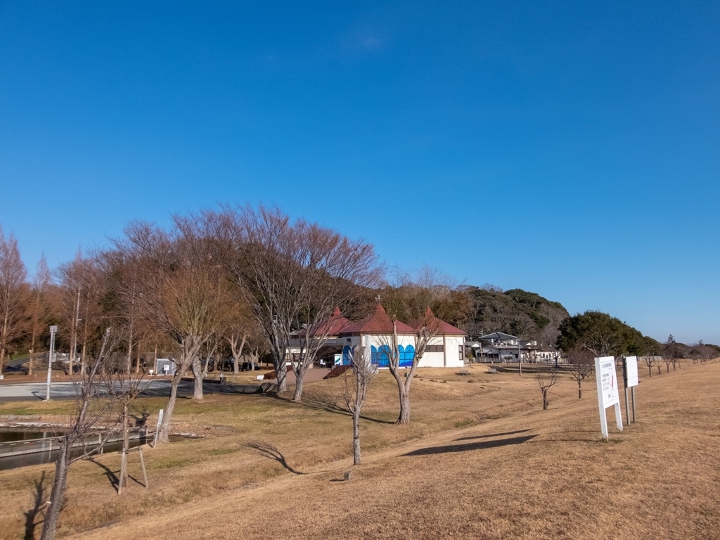 f:id:saetta0404:20190114173354j:plain