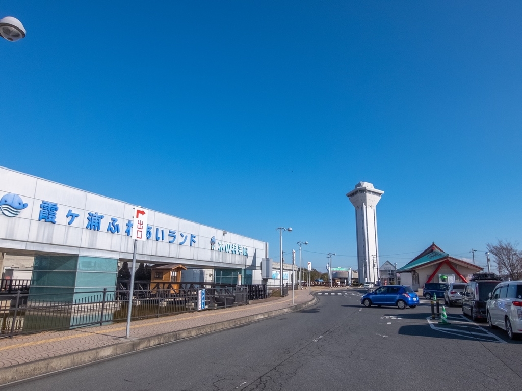 f:id:saetta0404:20190114173515j:plain