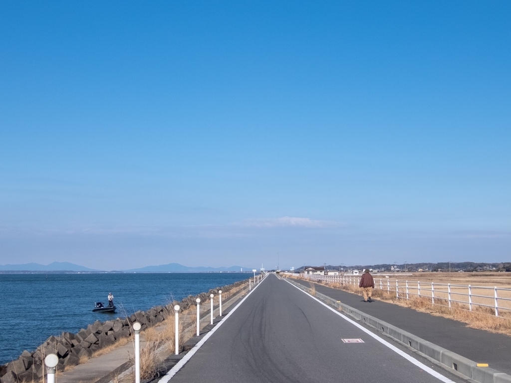 f:id:saetta0404:20190114173647j:plain