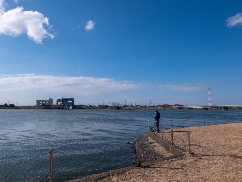 f:id:saetta0404:20190114173914j:plain