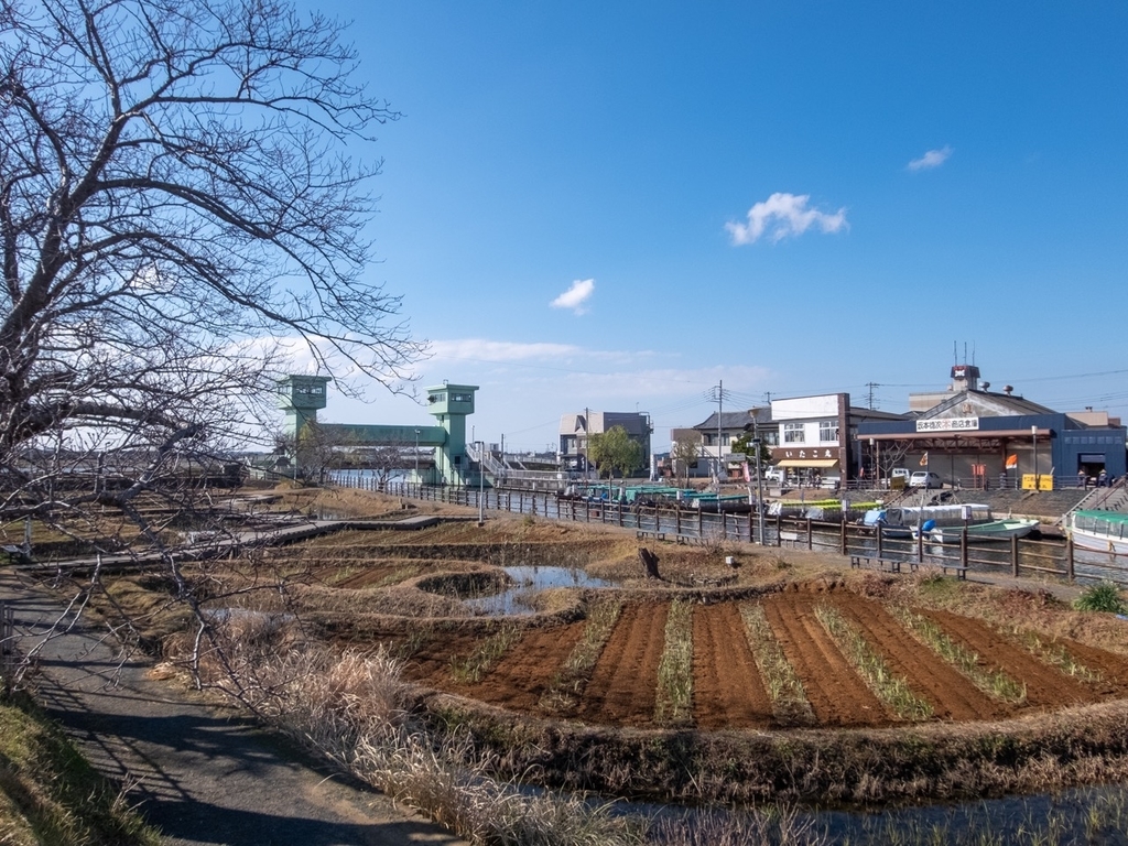 f:id:saetta0404:20190114174155j:plain