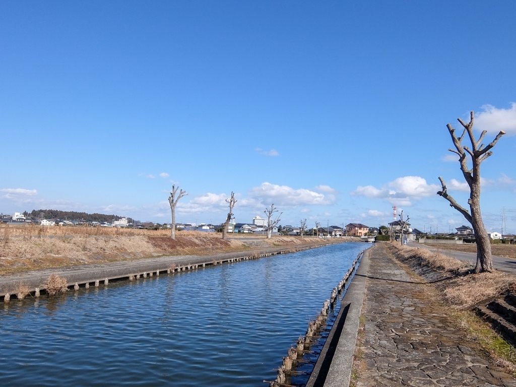 f:id:saetta0404:20190114180559j:plain