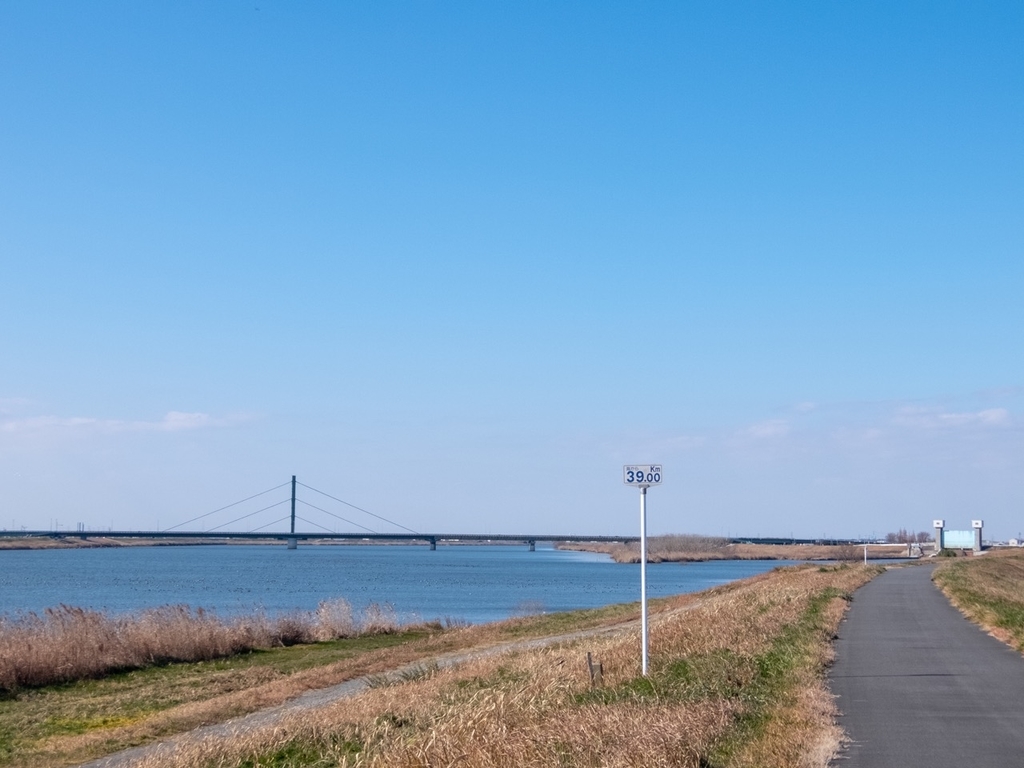 f:id:saetta0404:20190114180844j:plain