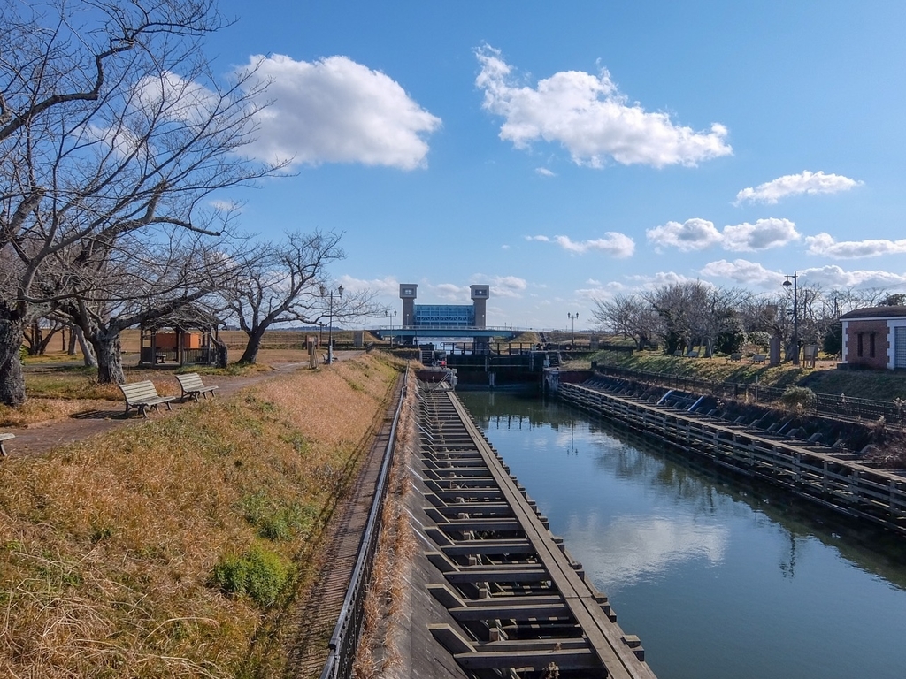 f:id:saetta0404:20190114180956j:plain