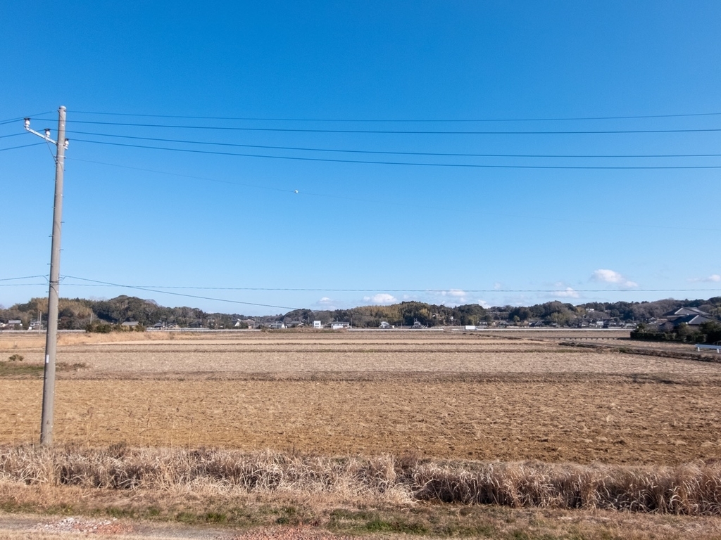 f:id:saetta0404:20190116231412j:plain