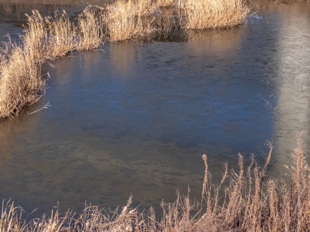 f:id:saetta0404:20190120101105j:plain f:id:saetta0404:20190120101105j:plain