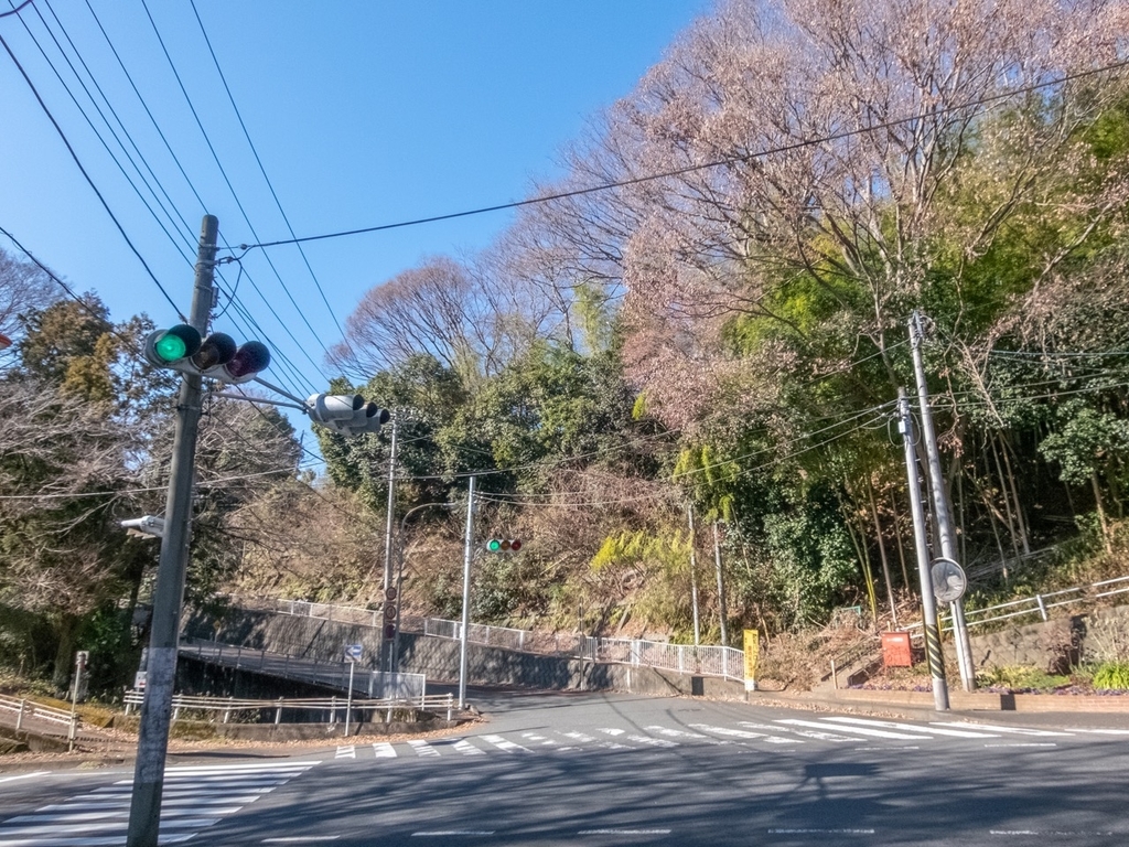 f:id:saetta0404:20190120103032j:plain f:id:saetta0404:20190120103032j:plain