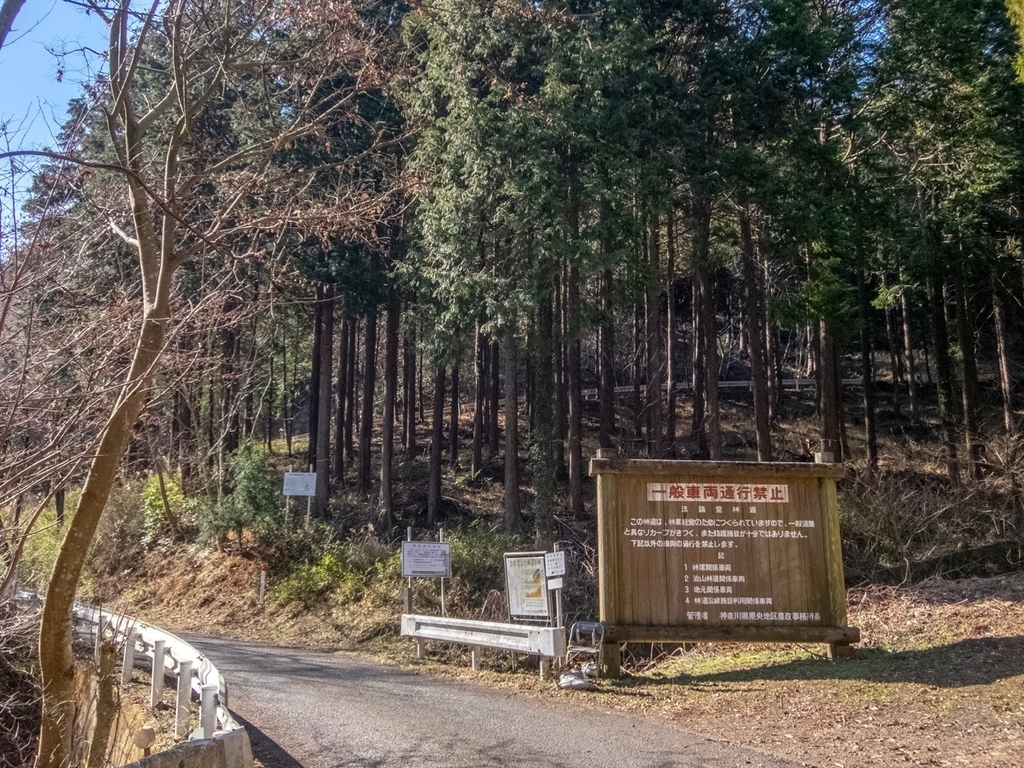 f:id:saetta0404:20190120103834j:plain f:id:saetta0404:20190120103834j:plain