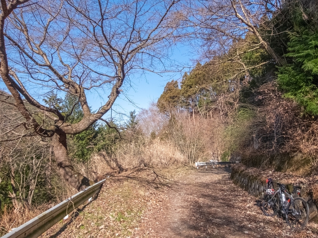 f:id:saetta0404:20190120104118j:plain f:id:saetta0404:20190120104118j:plain