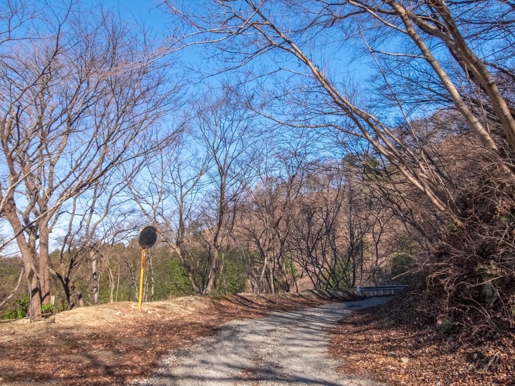 f:id:saetta0404:20190120104215j:plain f:id:saetta0404:20190120104215j:plain