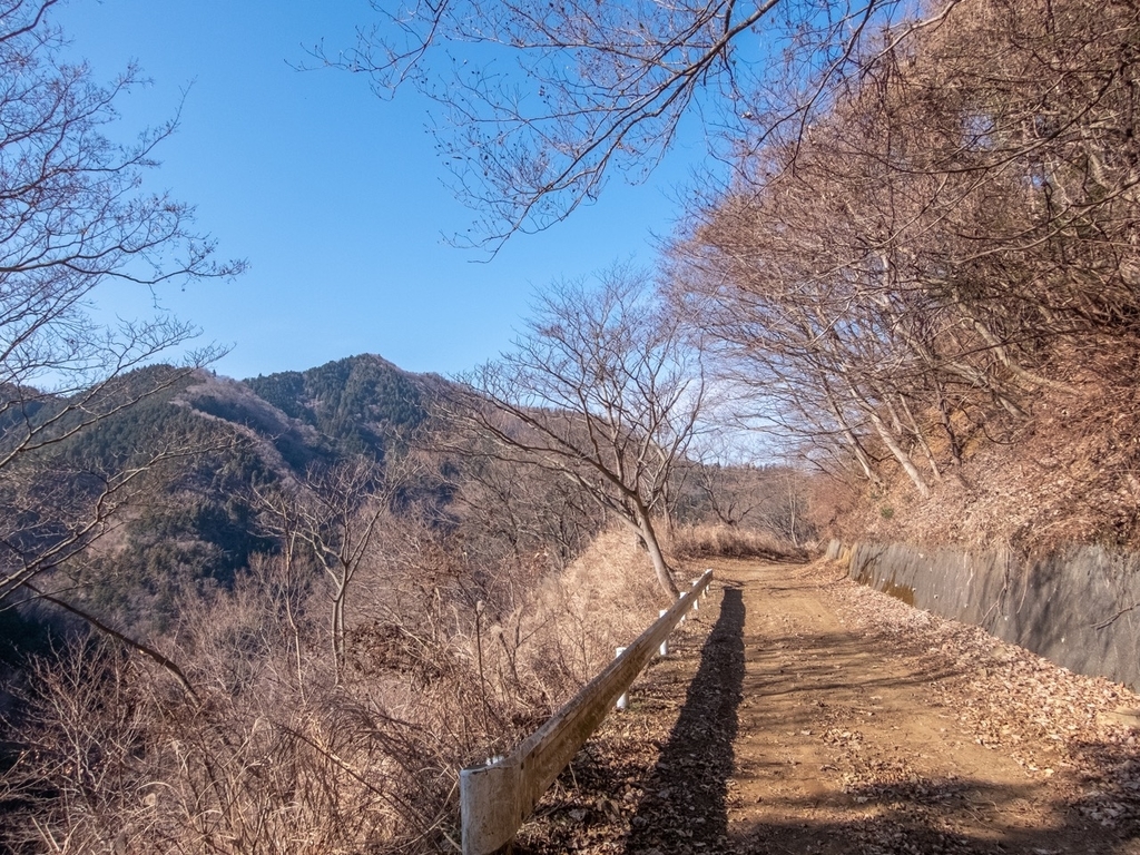 f:id:saetta0404:20190120104246j:plain f:id:saetta0404:20190120104246j:plain