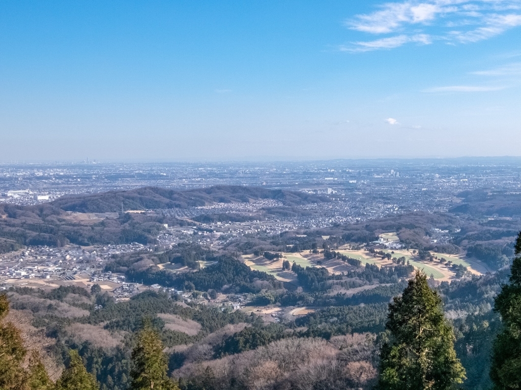 f:id:saetta0404:20190120104558j:plain f:id:saetta0404:20190120104558j:plain