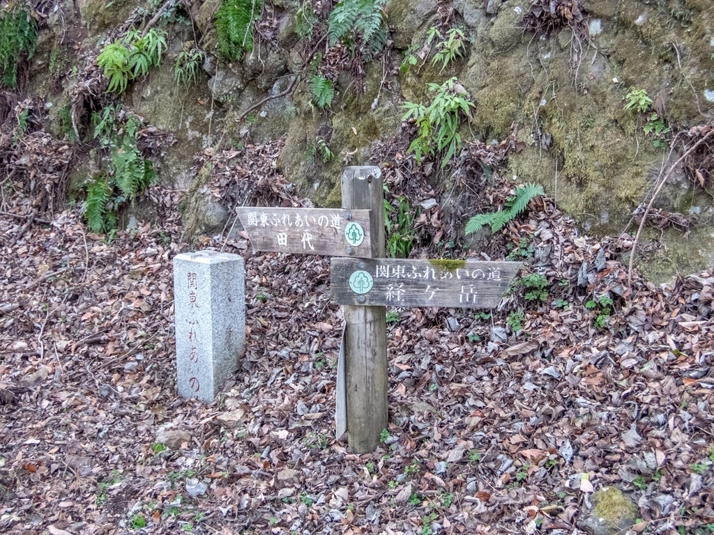 f:id:saetta0404:20190120104624j:plain f:id:saetta0404:20190120104624j:plain