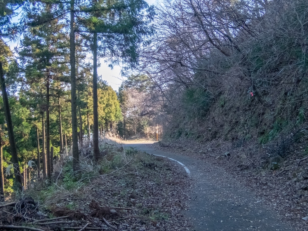 f:id:saetta0404:20190120104655j:plain f:id:saetta0404:20190120104655j:plain