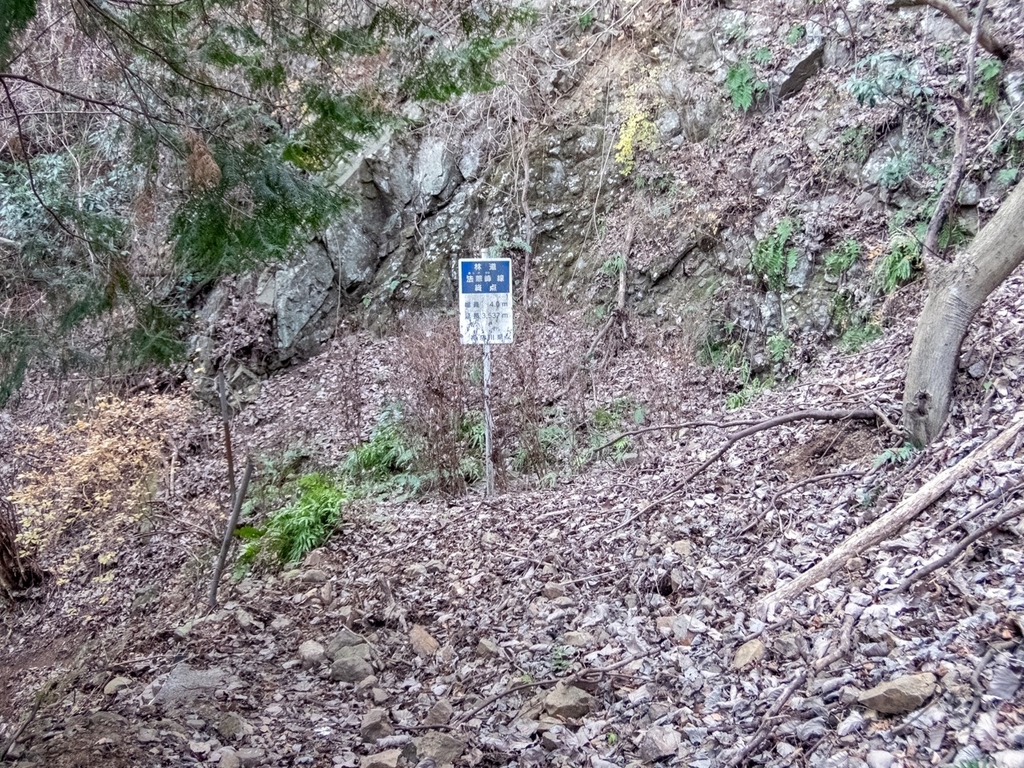 f:id:saetta0404:20190120104817j:plain f:id:saetta0404:20190120104817j:plain