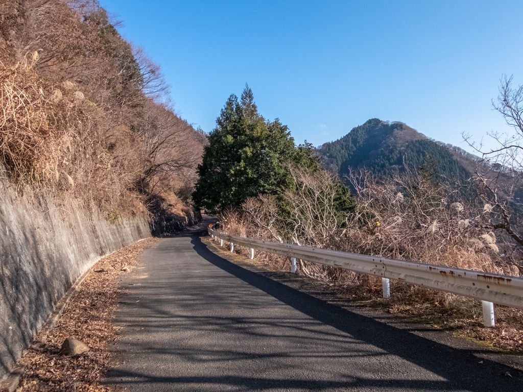 f:id:saetta0404:20190120104950j:plain f:id:saetta0404:20190120104950j:plain