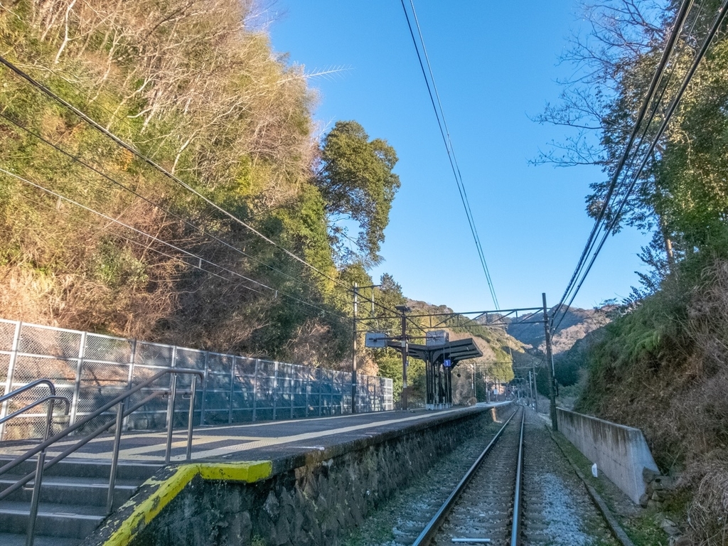 f:id:saetta0404:20190129210938j:plain