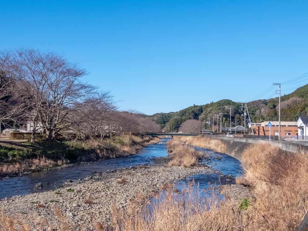 f:id:saetta0404:20190129211430j:plain