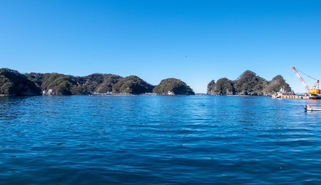 f:id:saetta0404:20190129211912j:plain