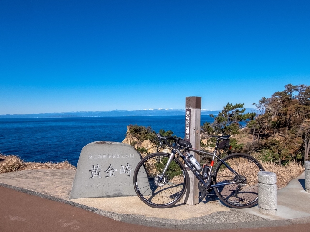 f:id:saetta0404:20190129212344j:plain