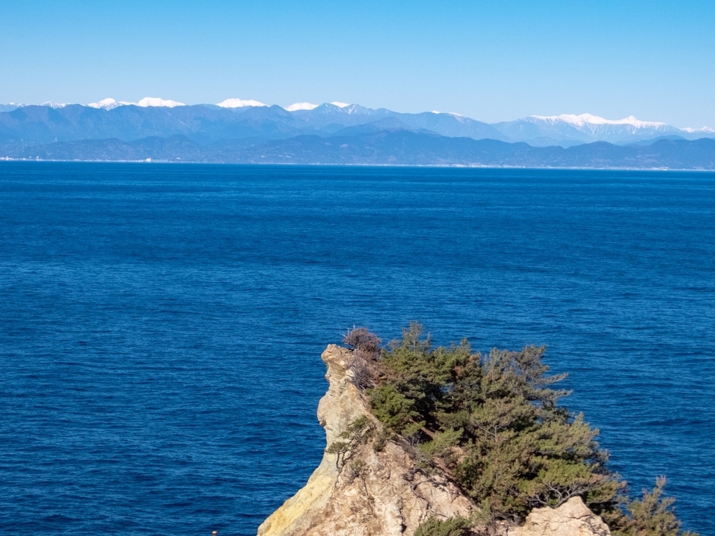 f:id:saetta0404:20190129212528j:plain