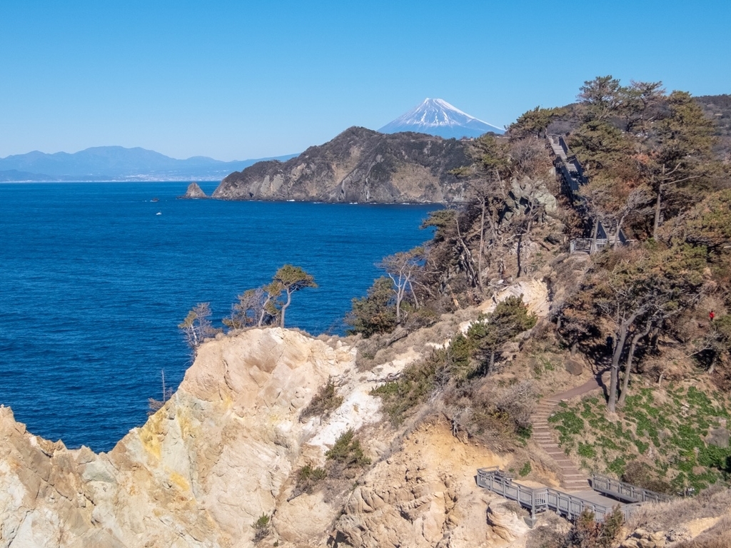 f:id:saetta0404:20190129212713j:plain